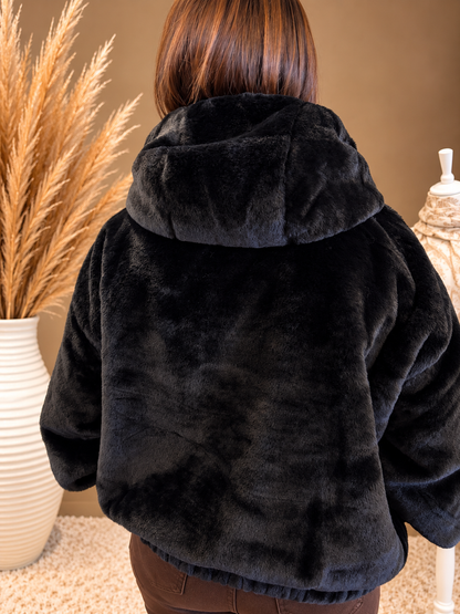 Manteau Coccola